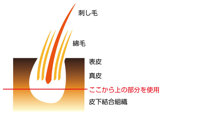 リアルファーやフェイクファー（エコファー）について | 東京都